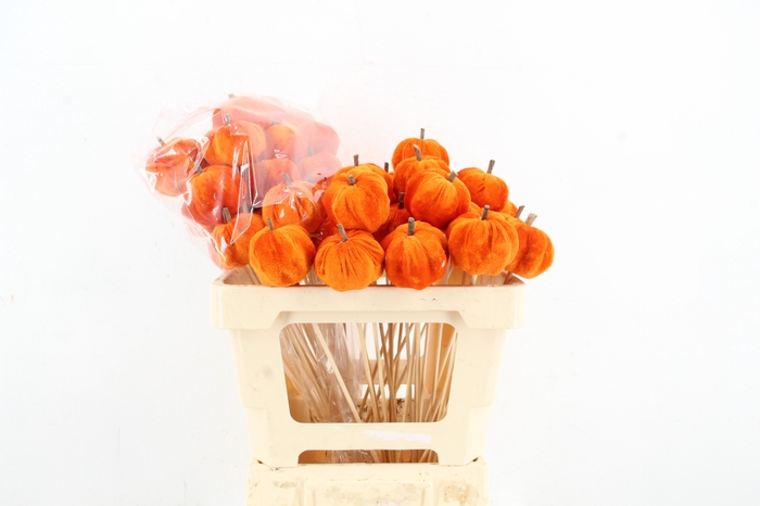 <h4>Stick Pumpkin 5/6cm Orange</h4>