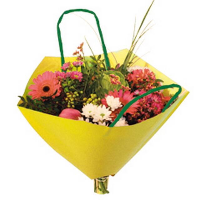 <h4>Hoes 35x35cm boekettas Bro-lux Fond geel + hengsel 400/ds</h4>