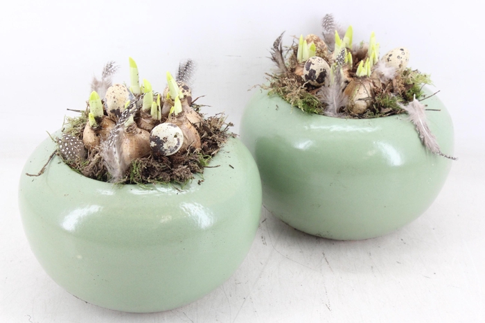 <h4>arr4 Narcis MB - Bolpot groen 338/3</h4>