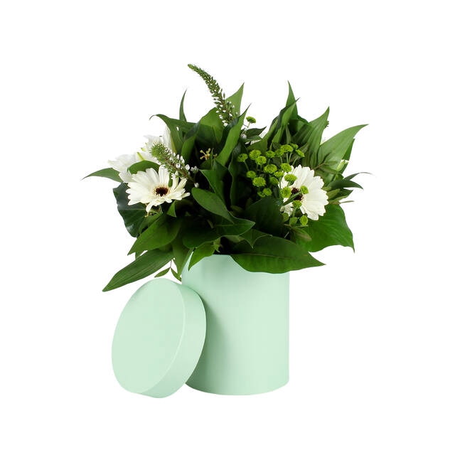 <h4>Hat box Pastel carton 13xH17cm green</h4>