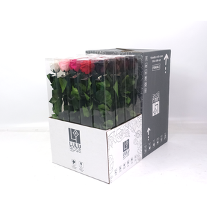 Rosa Preserved Stem 50cm Popular Mix