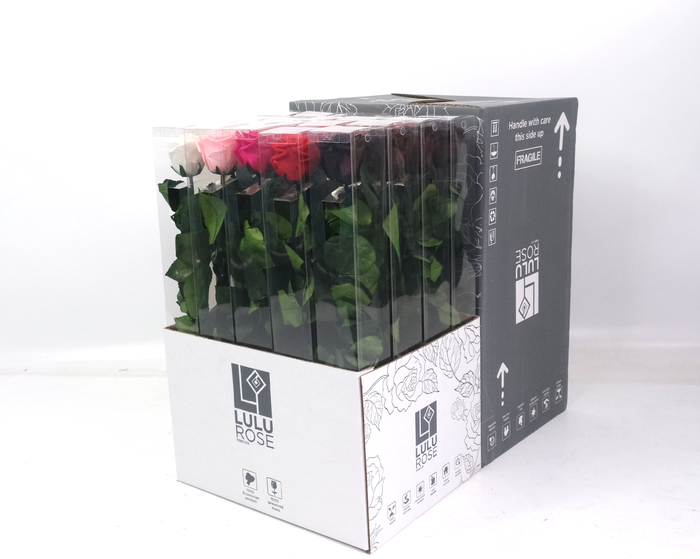 <h4>Rosa Preserved Stem 50cm Mix</h4>