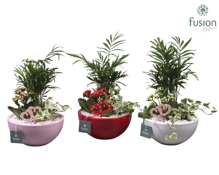 <h4>Keramiek moon 3 assortie met arrangement D18</h4>