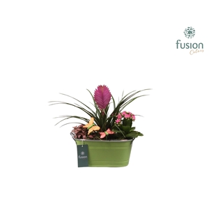 Zinken pot ovaal met voorjaarsarrangement en vlinders