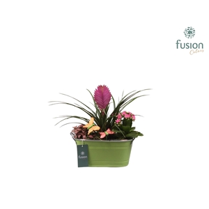 Zinken pot ovaal met voorjaarsarrangement en vlinders