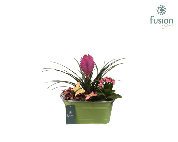 <h4>Zinken pot ovaal met voorjaarsarrangement en vlinders</h4>