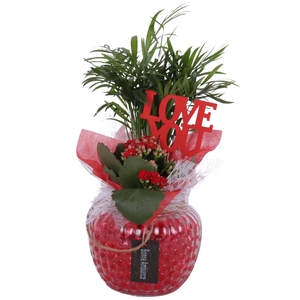 Valentine Arr. Indoor Glass Round Relief Ø15cm 2PP