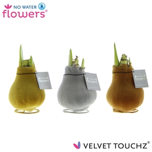 No Water Flowers Velvet Touchz® Metallic mix