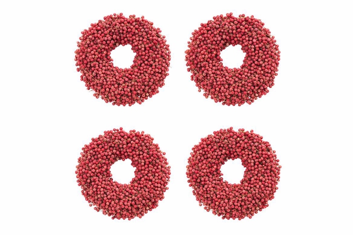 <h4>Wr Schinus Naturel 12cm X36</h4>