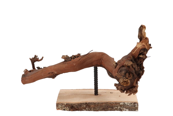 <h4>Nature Grape Wood Frame Small</h4>