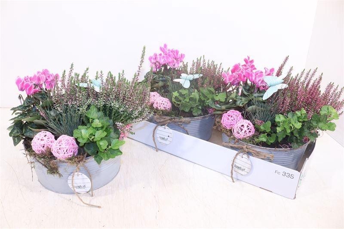 <h4>ARR TUINPLANTEN</h4>