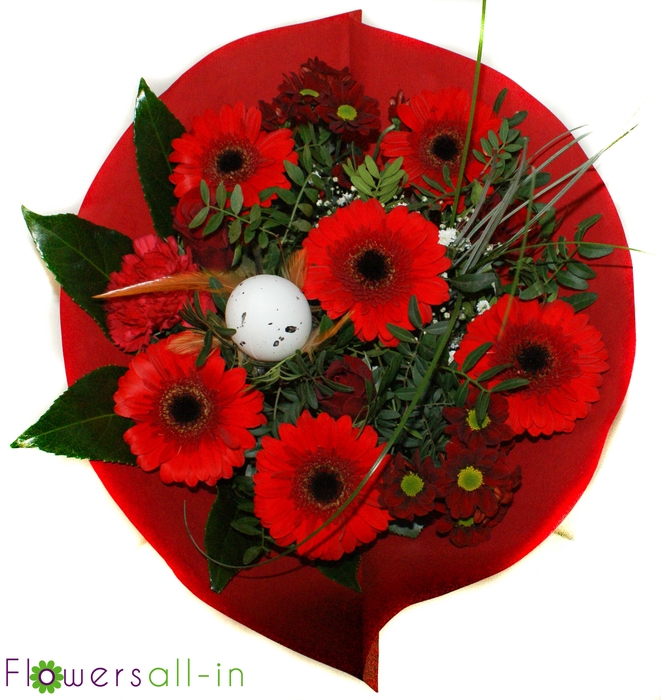 <h4>P202305 Rood</h4>
