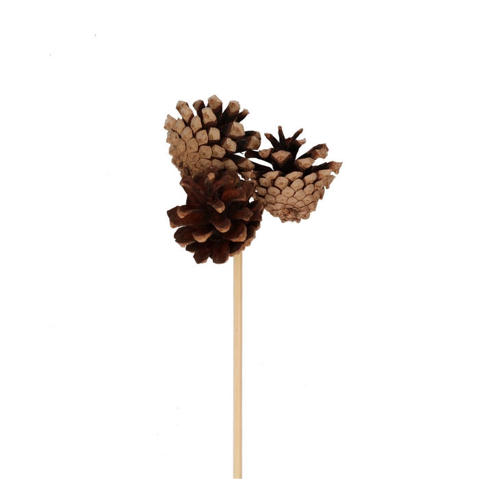 Christmas sticks 50cm Pine cone 3.5cm