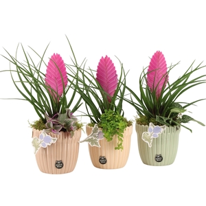 21923: Contradiction arrangement