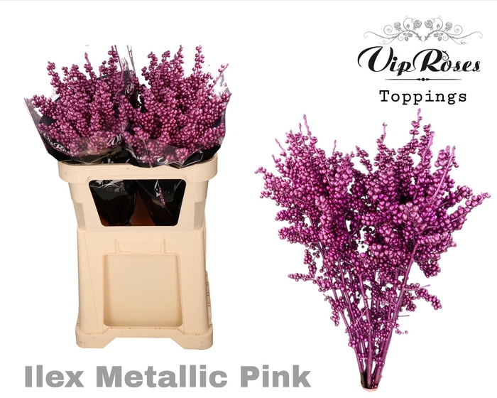 <h4>ILEX METALLIC PINK 70cm</h4>