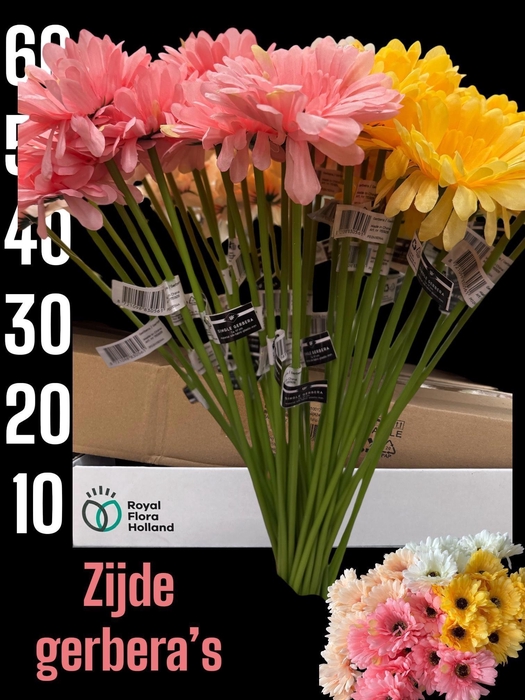 <h4>HUIS EN TUINDECO H%</h4>