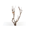 Syringa Branch Extra Beckers
