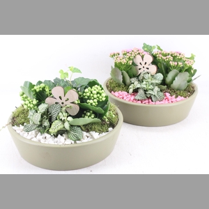 arr2 PL - Ker. schaal 25cm green - roze/wit