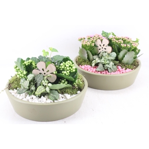 Arr2 Pl - Ker. Schaal 25cm Green - Roze/wit