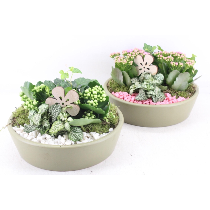 <h4>Arr2 Pl - Ker. Schaal 25cm Green - Roze/wit</h4>