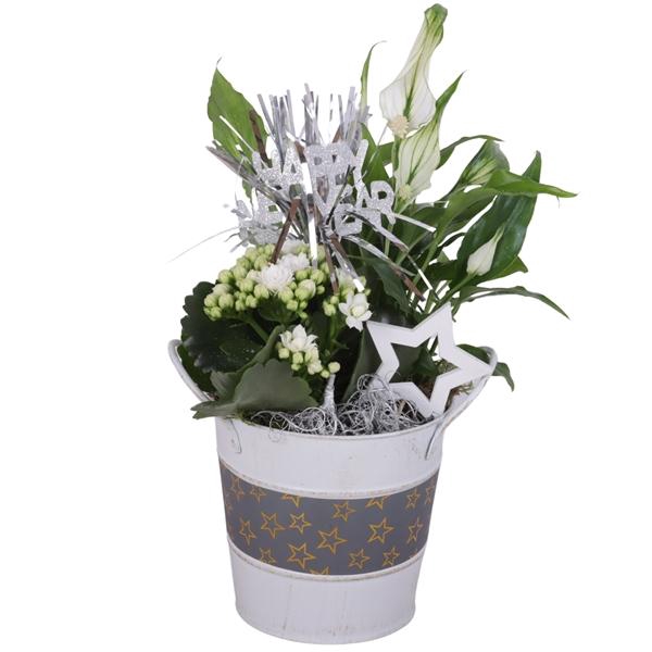 <h4>Christmas Arr. Indoor Zinc Pot Round Star Design Ø12cm 2PP</h4>