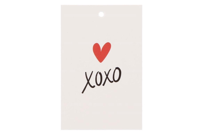 <h4>Gift Bouquet Card Xoxo White 6x9cm P/25</h4>