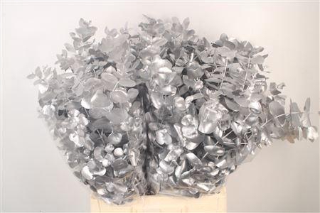 <h4>Euc Cin V Silver 400 Gram</h4>