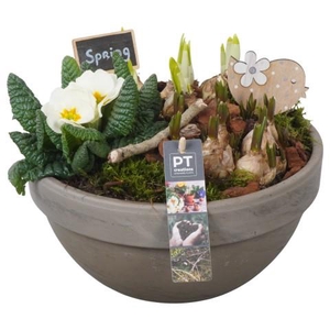 PTBM3879 Arrangementen Tuinplanten