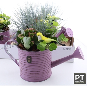 ARR TUINPLANTEN