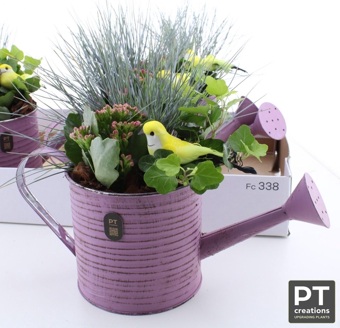 <h4>ARR TUINPLANTEN</h4>