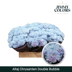 Chr T Altaj Double Bubble