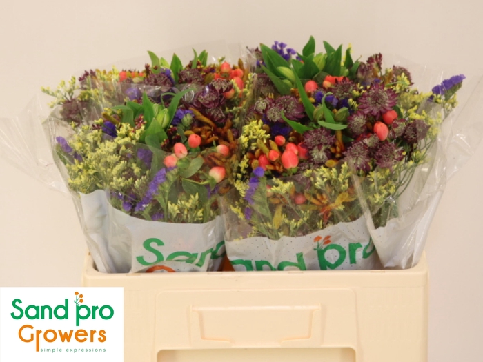 <h4>GEM ZOMERBOEKET</h4>