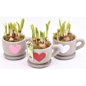 Cement kop/schotel met hart 13cm