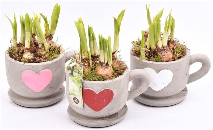 <h4>Cement kop/schotel met hart 13cm</h4>