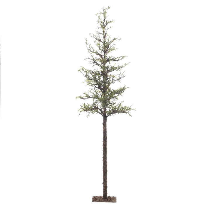 <h4>Af Larixtree Stem 182cm Green</h4>