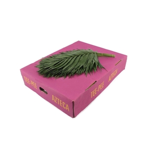 Chico Tee Pee Purple