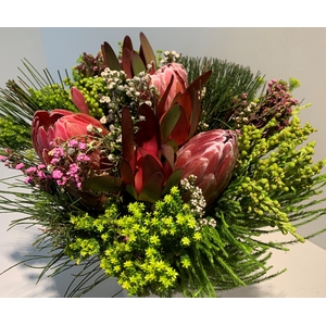 Bqt - 3 Protea Carousel (p/bunch)