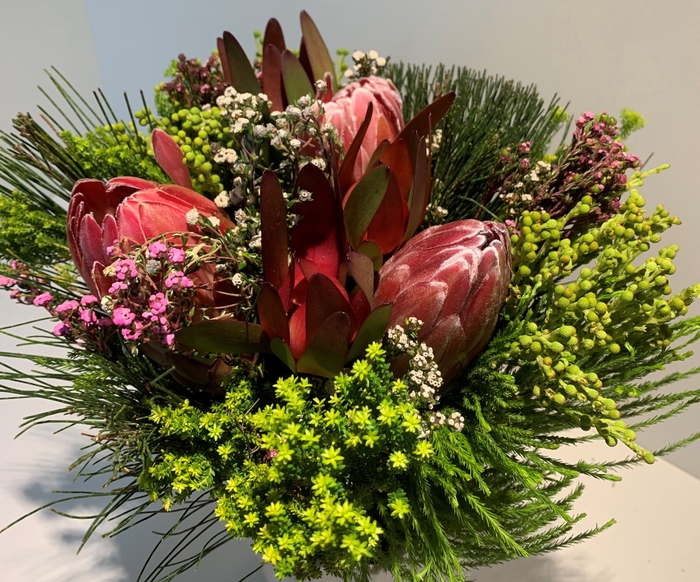 Bqt - 3 Protea Carousel (p/bunch)