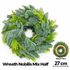 ABIES NOBILIS BLAUW