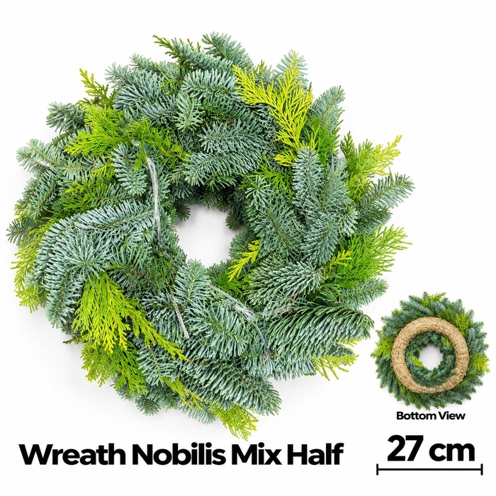 <h4>Abies Nobilis Blauw</h4>