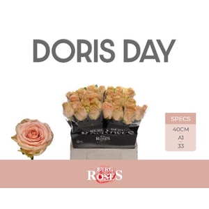 R GR DORIS DAY