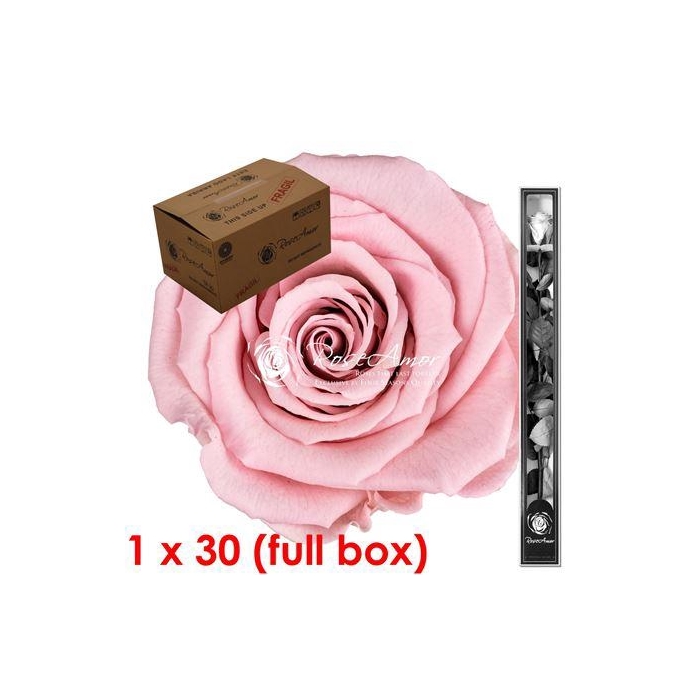 <h4>60cm Stem Pin04 Bulk</h4>