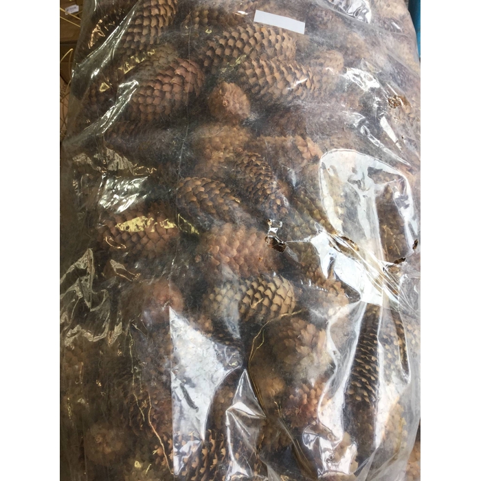 <h4>FIJNSPAR NATURAL 10KG</h4>