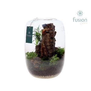 Arrangementen kamerplanten groen H% glas FC-23.0450FDH