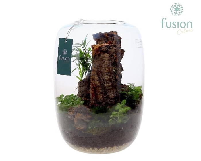 Arrangementen kamerplanten groen H% glas FC-23.0450FDH