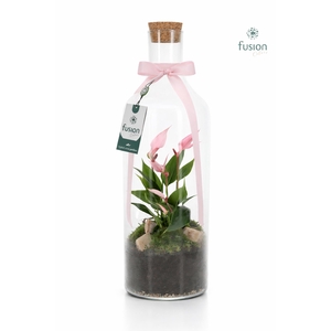 Green Bottle Fles Medium met Anthurium