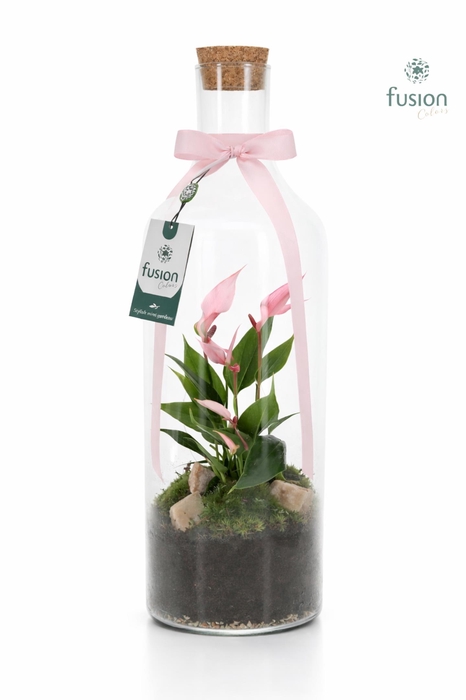 <h4>Green Bottle Fles Medium met Anthurium</h4>