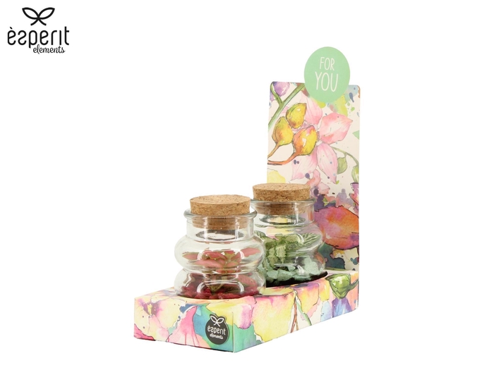 <h4>90831: Terrarium Gift Set arrangement</h4>