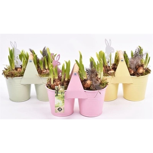 Zink duopot kl. mix 21x10cm