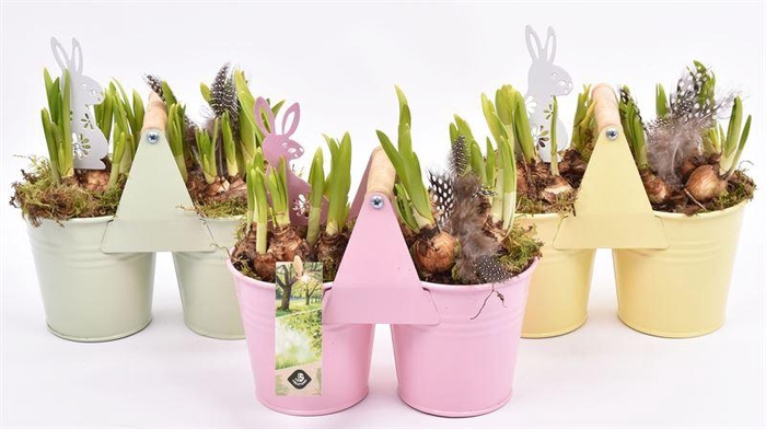 <h4>Zink duopot kl. mix 21x10cm</h4>